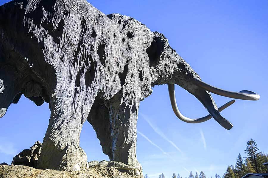 高性能、實用性和冬夏運動共冶一爐,Audi RS6 Avant就是有本事一天之內全部辦妥。