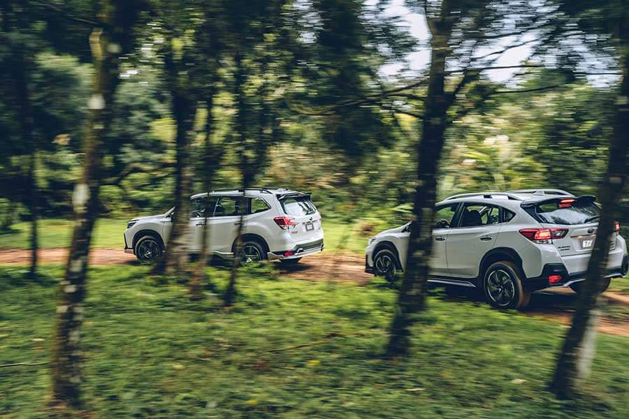 結合Subaru Forester GT Edition和Subaru XV GT Edition兩部休旅車，TG這回記畫了一場六芒星GT之旅。