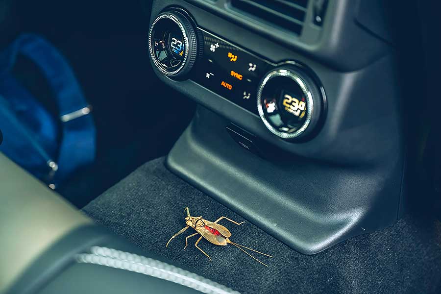 velarsva-5 從車頭車尾品牌字樣裡的壓花處理,你就知道這部車絕對出自於一位極其龜毛的設計團隊之手。