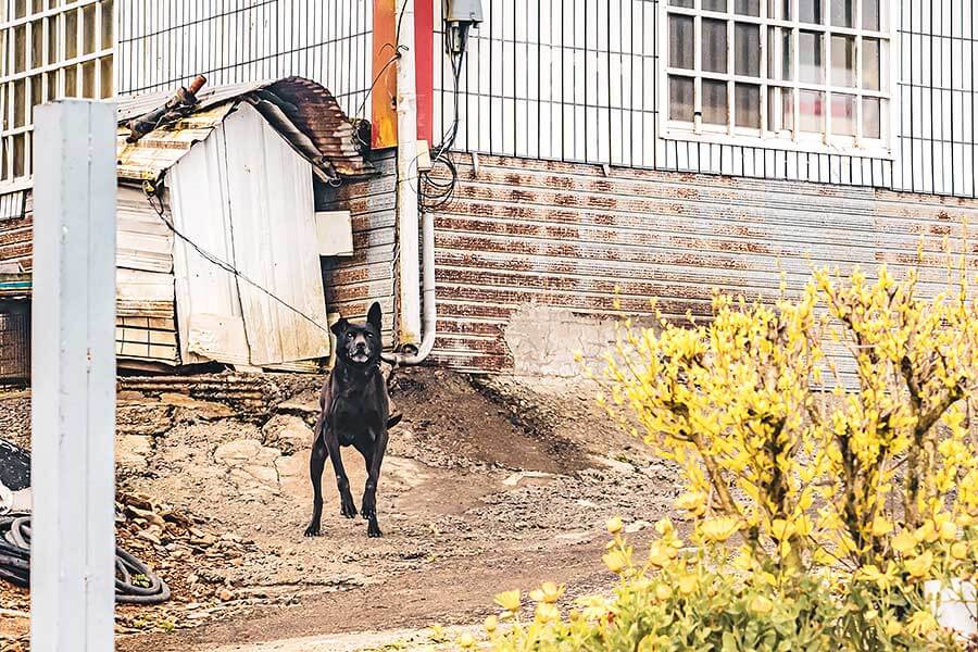 想驗證一輛跑車功架如何，去賽道溜一趟就知道到底有沒有把褲腰帶給綁緊，SUV，還是前驅?我輩四度勇闖力行產業道路一探這褲子究竟有沒有穿上。