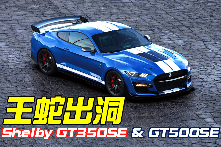 比起NBA球星簽名鞋款，謝爾比簽名款野馬更誘人。