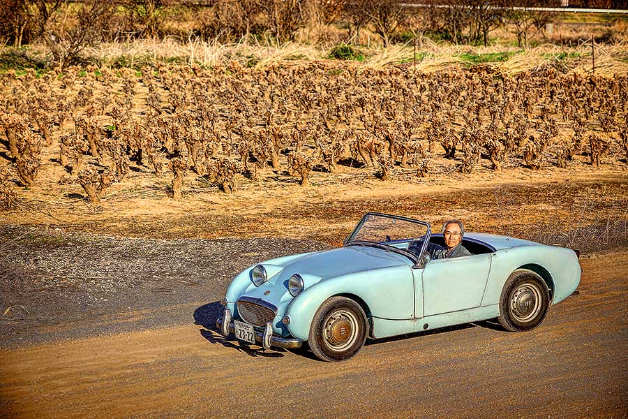 希少！Austin healey sprite カニ目外国切手