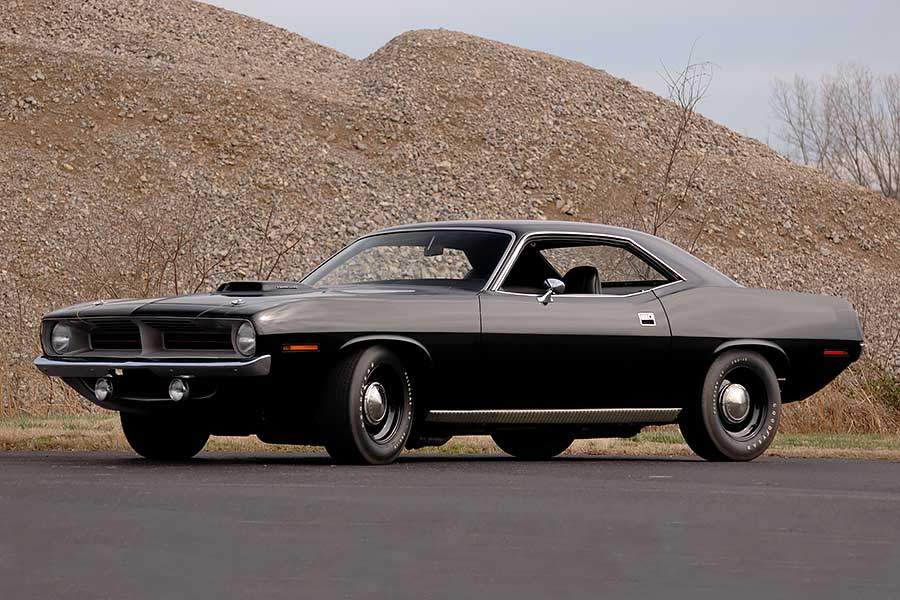 只知道野馬跟大黃蜂？看來你腦內的肌肉知識含量肯定非常不足。