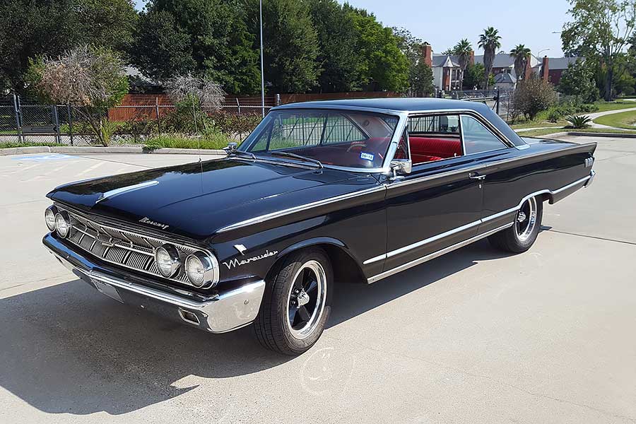 只知道野馬跟大黃蜂？看來你腦內的肌肉知識含量肯定非常不足。