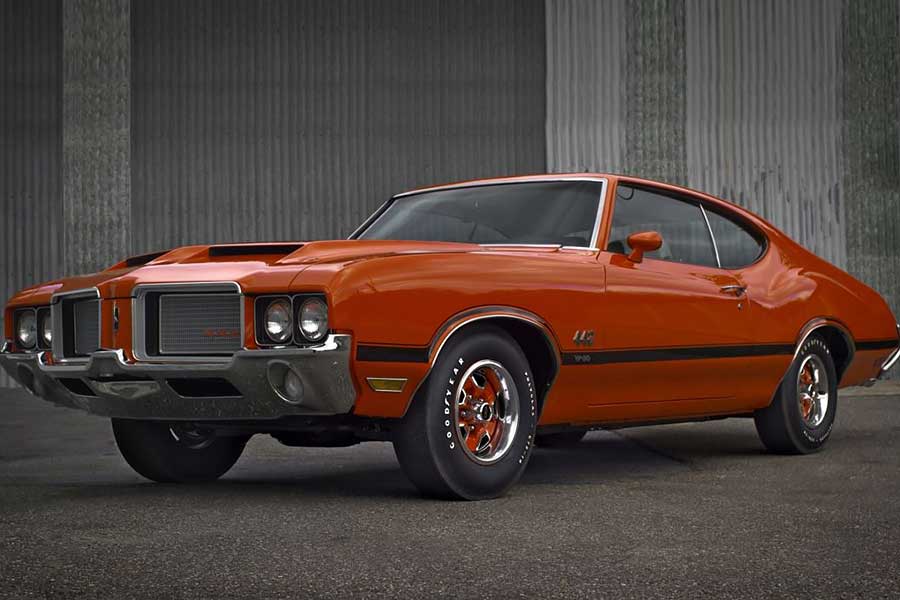 只知道野馬跟大黃蜂？看來你腦內的肌肉知識含量肯定非常不足。