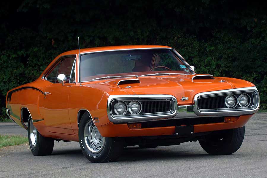 只知道野馬跟大黃蜂？看來你腦內的肌肉知識含量肯定非常不足。