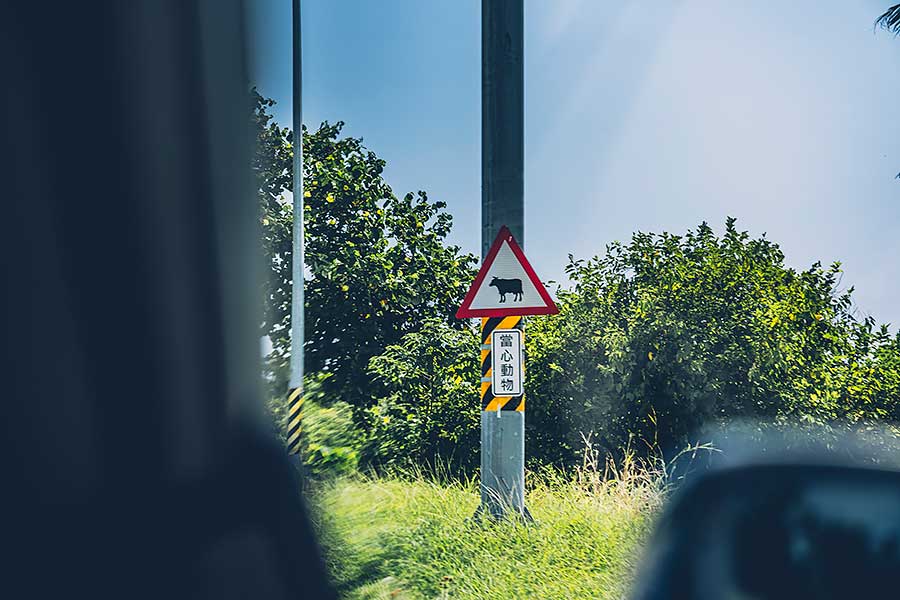 mperformance3-6 環島不難,隨便找部車都行,但要能環的開心,每個時刻都盡興、流連忘返,若有三種性格迴然不同的車可以沿路替換,那就完美了……。