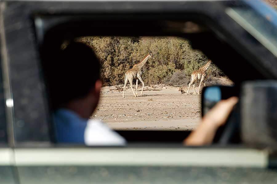 受夠了枯燥英國和日常營役的悶氣,不如馬上見識一下Defender的看家本領,跟我們一道遠赴千里踏破非洲。