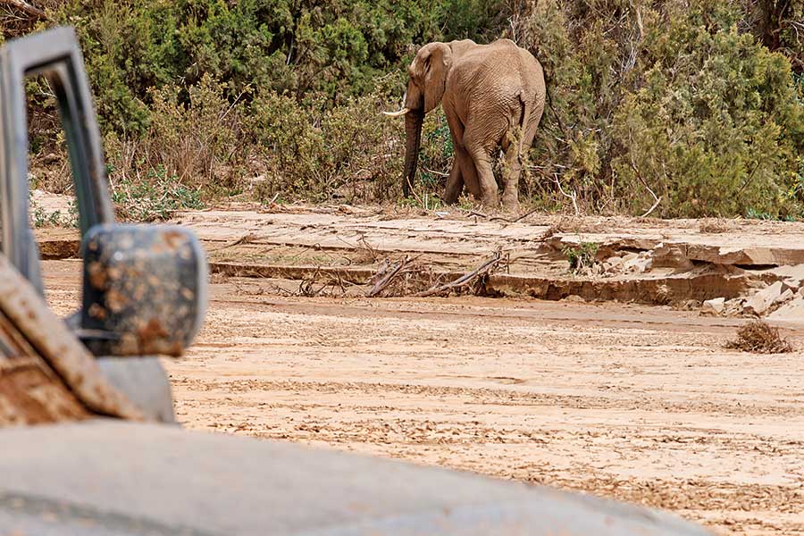 受夠了枯燥英國和日常營役的悶氣,不如馬上見識一下Defender的看家本領,跟我們一道遠赴千里踏破非洲。