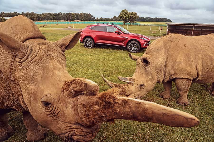 在馬丁家族新成員，全新DBX上度過非凡一天。