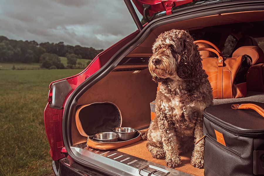 在馬丁家族新成員，全新DBX上度過非凡一天。