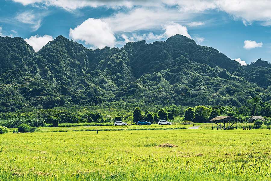 任誰都意料不到，藉由Altis轉換而來又不起眼的這號人物，居然會成為豐田在年終餐會上，保證旗下員工吃香喝辣的始作俑者。