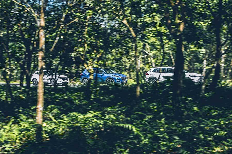 任誰都意料不到，藉由Altis轉換而來又不起眼的這號人物，居然會成為豐田在年終餐會上，保證旗下員工吃香喝辣的始作俑者。