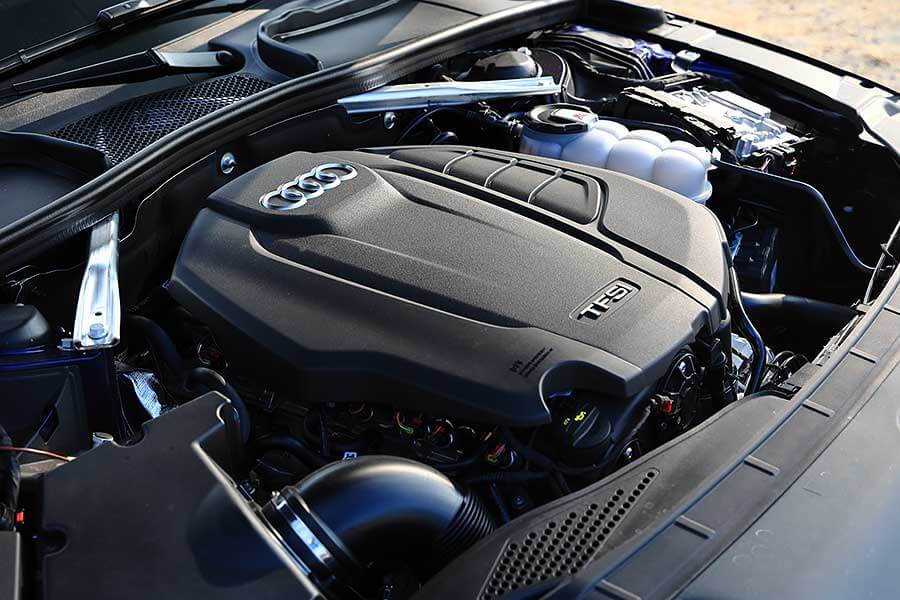 看到遠方日月潭邊的那棵大樹了嗎？左去右回，開始！