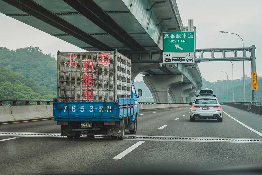 看到遠方日月潭邊的那棵大樹了嗎？左去右回，開始！