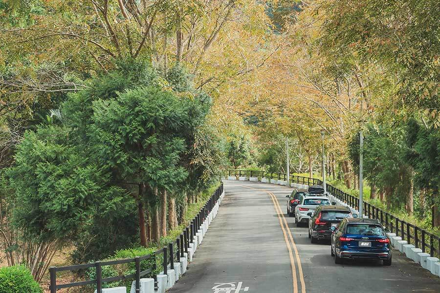 看到遠方日月潭邊的那棵大樹了嗎?左去右回,開始!