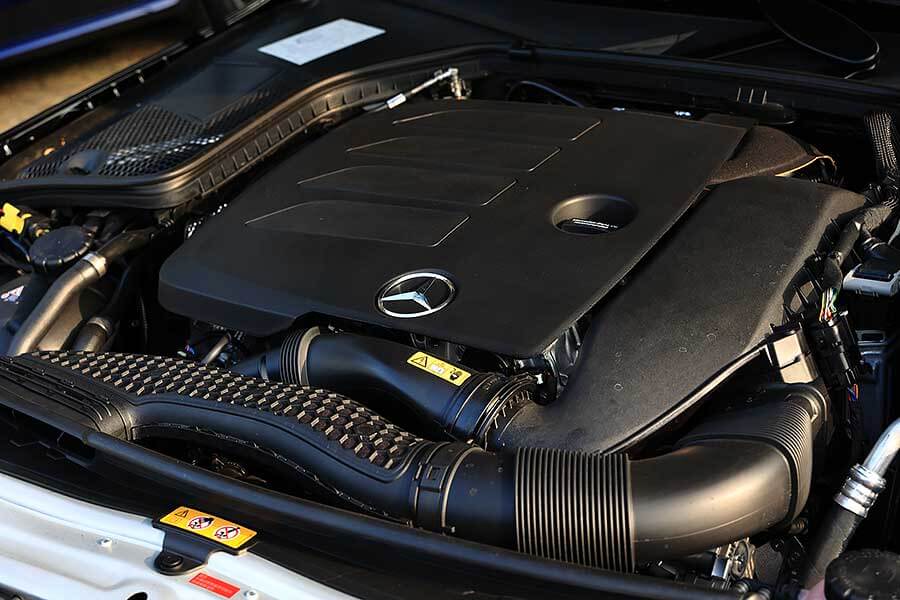 看到遠方日月潭邊的那棵大樹了嗎？左去右回，開始！