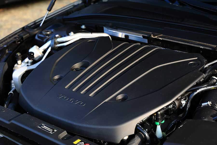 看到遠方日月潭邊的那棵大樹了嗎？左去右回，開始！