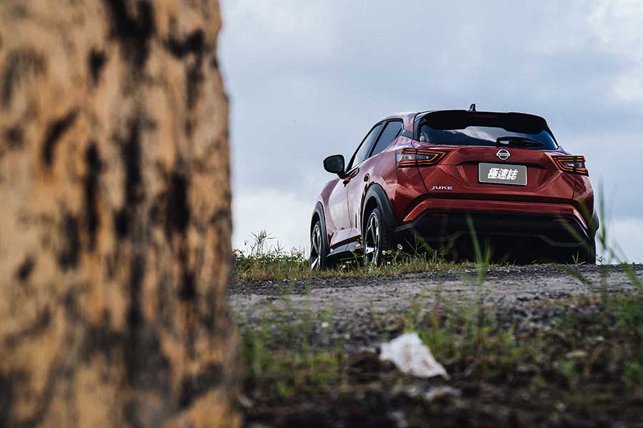 在它身上彷彿看見一套進化公式的演繹,這由裡而外的演化程度絕對精采,就像看著人類由多毛狒狒一步一腳印的進化論。