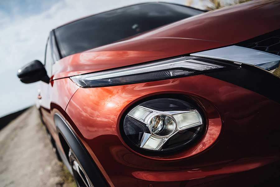 在它身上彷彿看見一套進化公式的演繹,這由裡而外的演化程度絕對精采,就像看著人類由多毛狒狒一步一腳印的進化論。