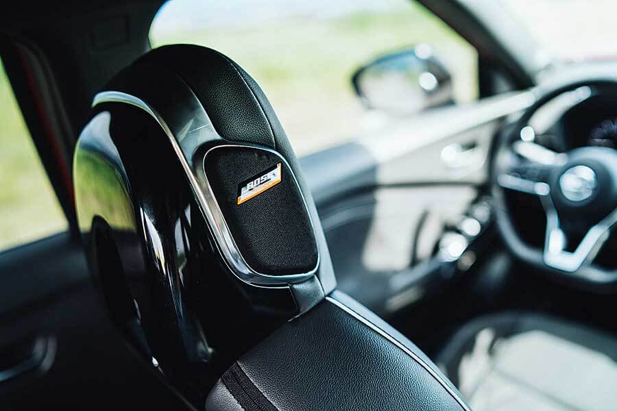 在它身上彷彿看見一套進化公式的演繹,這由裡而外的演化程度絕對精采,就像看著人類由多毛狒狒一步一腳印的進化論。