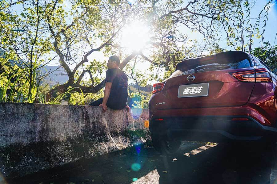 在它身上彷彿看見一套進化公式的演繹,這由裡而外的演化程度絕對精采,就像看著人類由多毛狒狒一步一腳印的進化論。