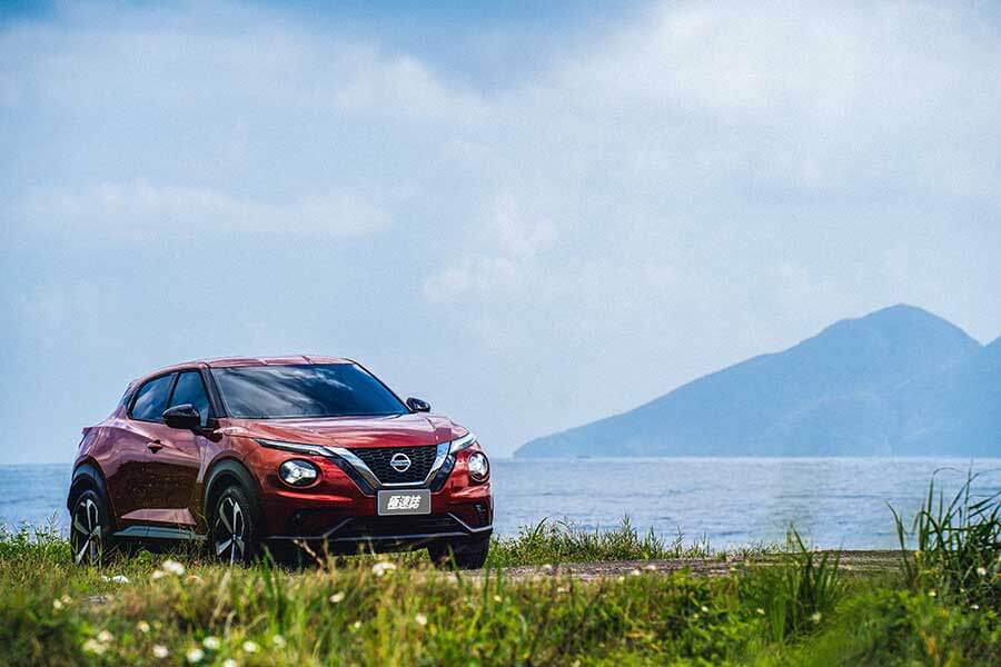 在它身上彷彿看見一套進化公式的演繹,這由裡而外的演化程度絕對精采,就像看著人類由多毛狒狒一步一腳印的進化論。