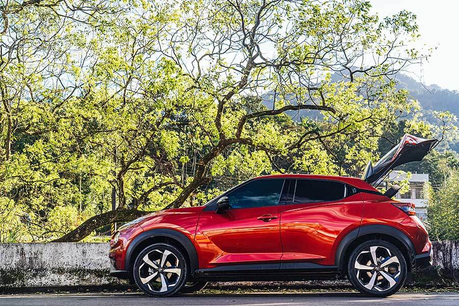 在它身上彷彿看見一套進化公式的演繹,這由裡而外的演化程度絕對精采,就像看著人類由多毛狒狒一步一腳印的進化論。