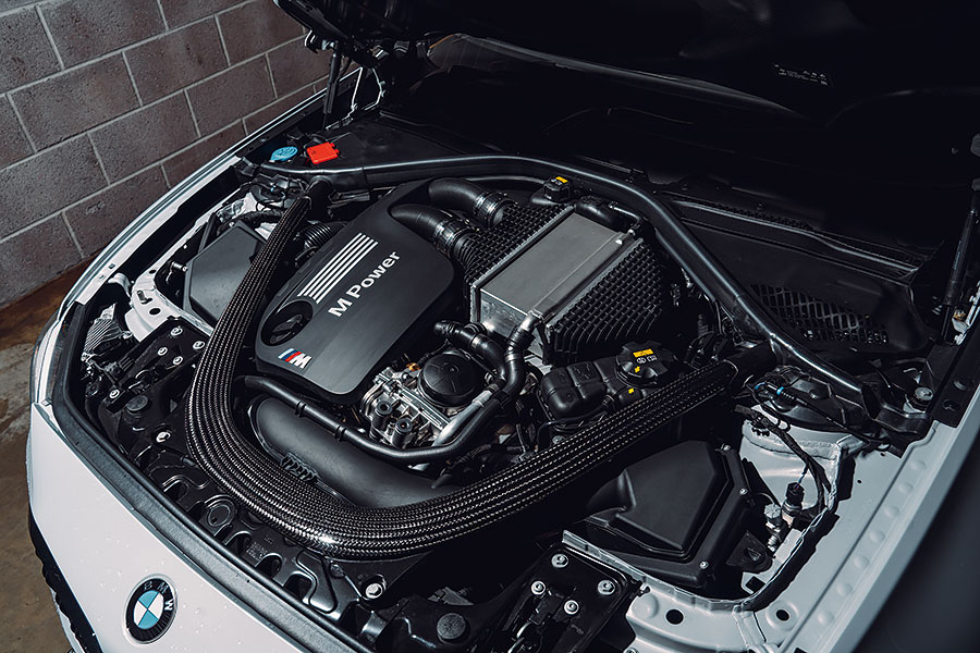 M Division最新硬派小霸王對上功夫甚至比其更專一的同門前輩。