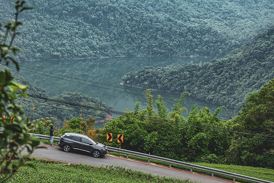 古有波堤獅,今有數位獅。