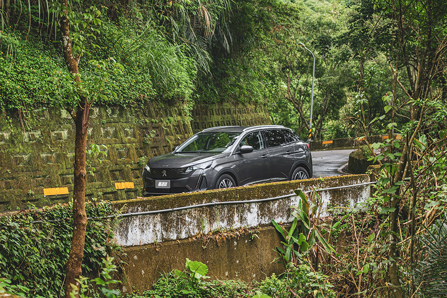 古有波堤獅,今有數位獅。