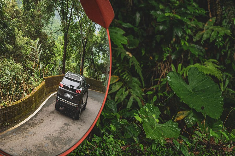 古有波堤獅,今有數位獅。