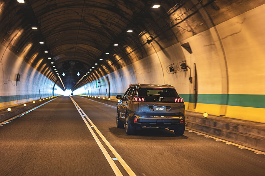 古有波堤獅,今有數位獅。