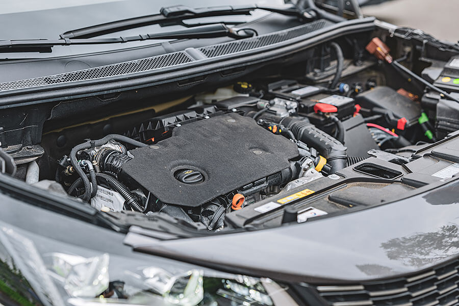 古有波堤獅,今有數位獅。