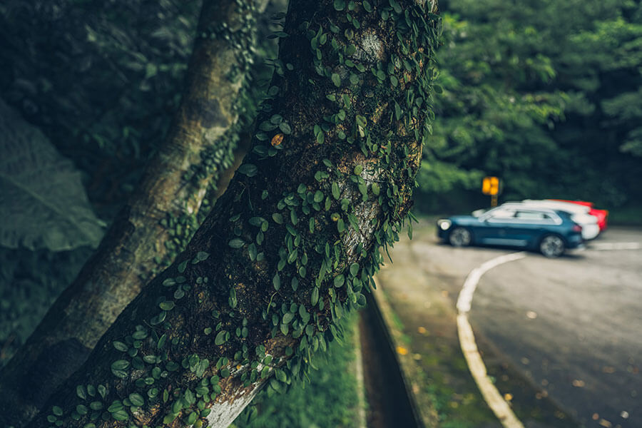 沒有特斯拉?對,以前沒得選,但現在可不同了,來個歐陸對決戲碼你看如何……。
