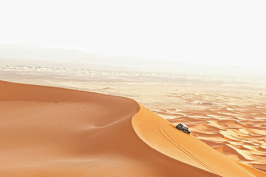 從最風光的傑作,至到最慘淡的低潮,這裡備有你想知的一切,以及好些你不想知道的逸聞軼事。