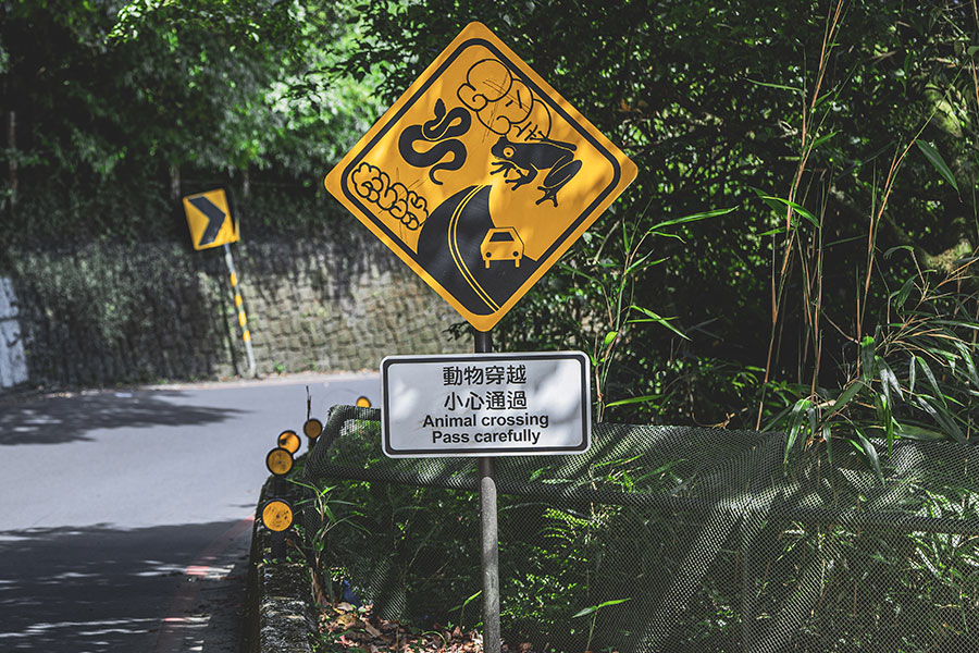 廠方雖將Rebel車系歸類為Bobber風格,但我覺得它不屬於任何一類,有自己的獨特性格……。