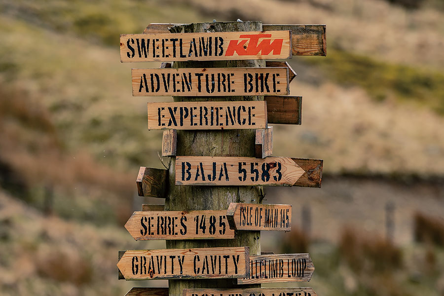 保時捷Taycan撕毀了公路上的遊戲規則,如今更想在其他一切領域稱霸天下。