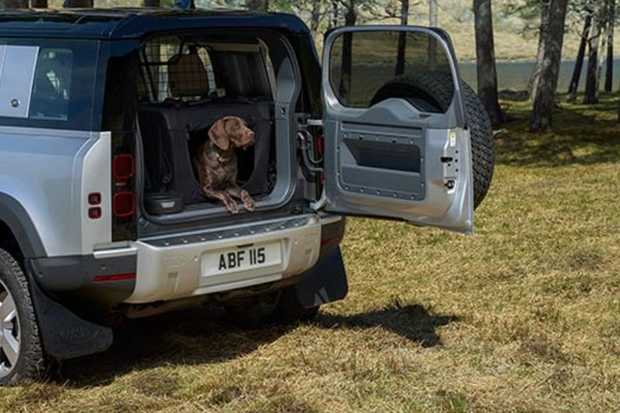 放假想到外地旅遊，可是又不能把心愛的狗狗留在家不管？各位毛爸毛媽儘管選擇以下任一款最佳狗狗友善汽車就對了！