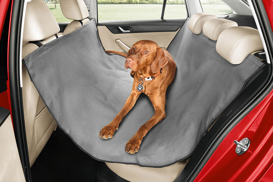 放假想到外地旅遊，可是又不能把心愛的狗狗留在家不管？各位毛爸毛媽儘管選擇以下任一款最佳狗狗友善汽車就對了！