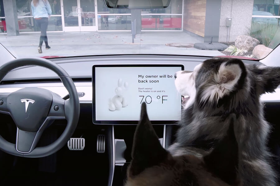 放假想到外地旅遊，可是又不能把心愛的狗狗留在家不管？各位毛爸毛媽儘管選擇以下任一款最佳狗狗友善汽車就對了！