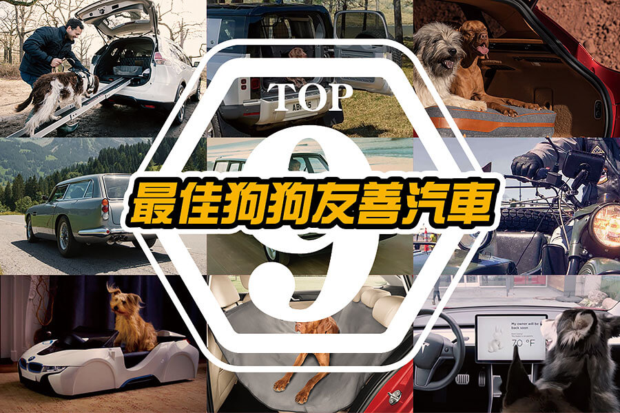 放假想到外地旅遊，可是又不能把心愛的狗狗留在家不管？各位毛爸毛媽儘管選擇以下任一款最佳狗狗友善汽車就對了！