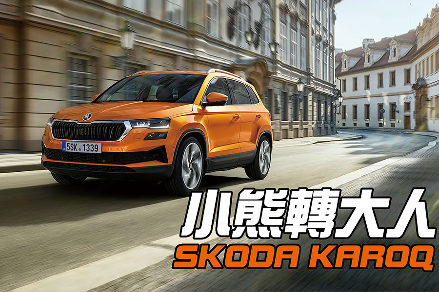 雖然無法真的成為大棕熊，但捷克小熊現在真的變得更成熟了。