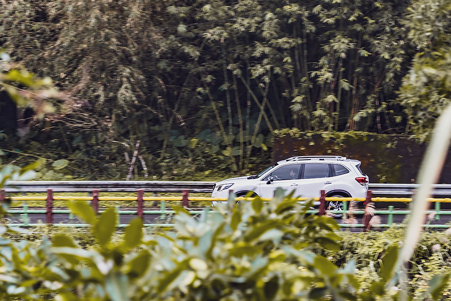 看著看著,也就看出點端倪來了。