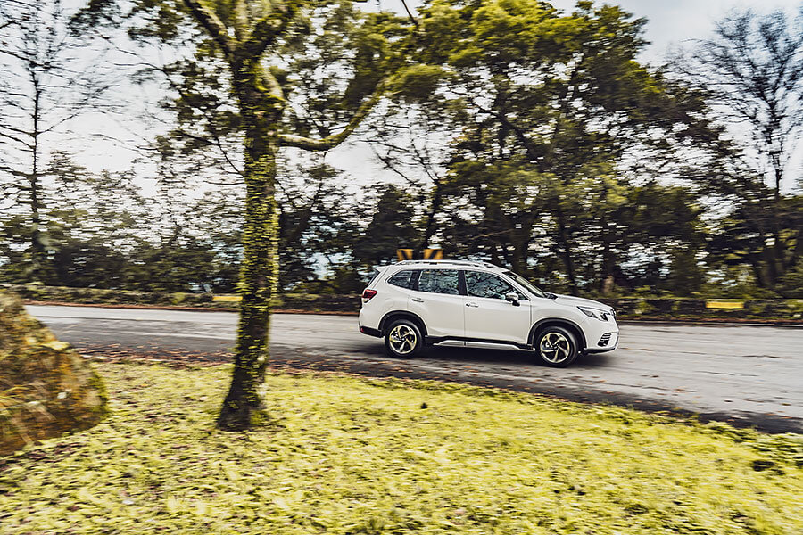 看著看著,也就看出點端倪來了。