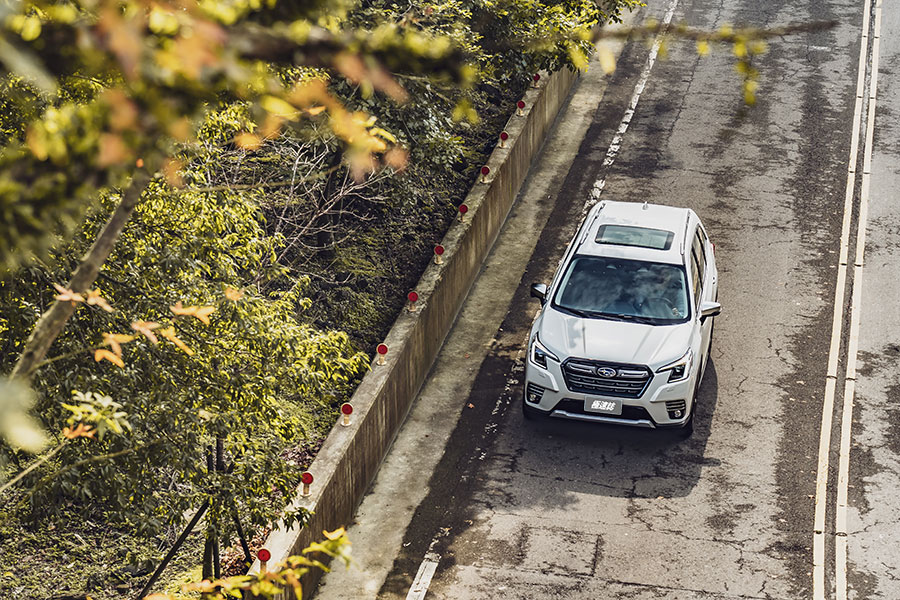 看著看著,也就看出點端倪來了。