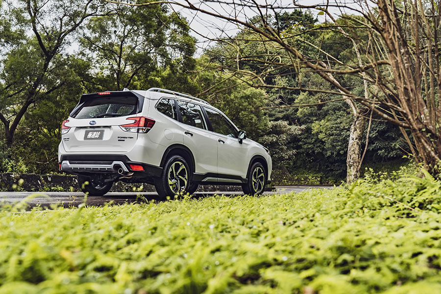 看著看著,也就看出點端倪來了。