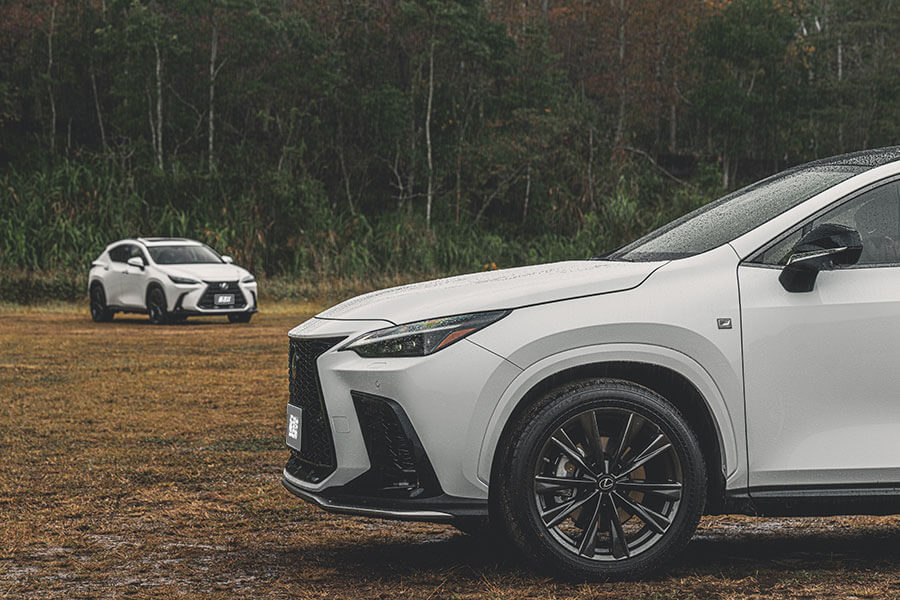 想要買一輛與眾不同又離經叛道的Lexus NX嗎?這輛就是。