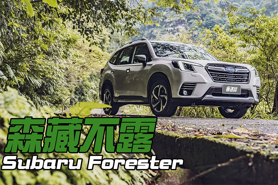 看著看著，也就看出點端倪來了。