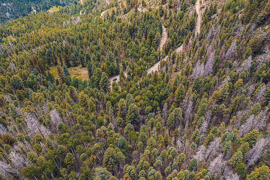 急需從德州趕往科羅拉多嗎?那麼上馬吧,新型Bronco正是為此而生。